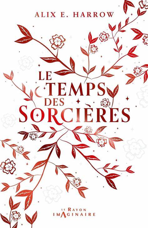 Mon avis sur : Le temps des sorcières .
