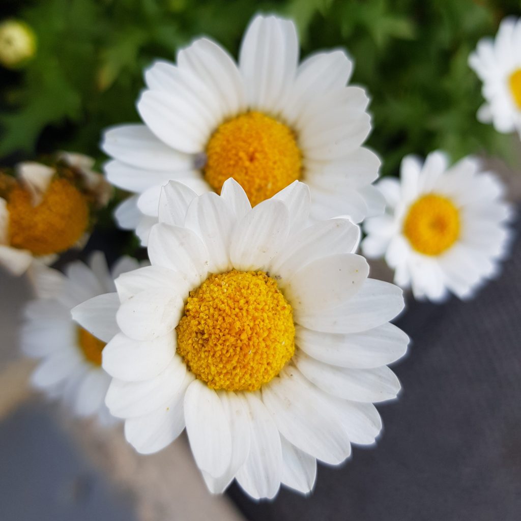 Prendre le temps de… 🌻